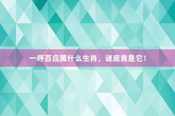 一呼百应属什么生肖，谜底竟是它！